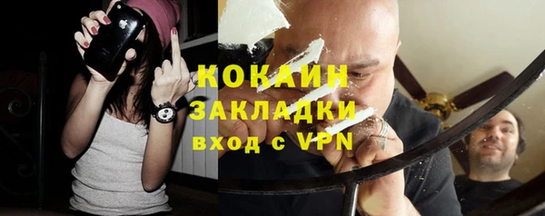 крисы Алзамай
