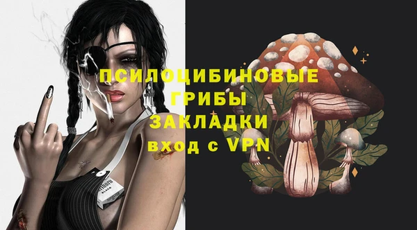 амф Алексин