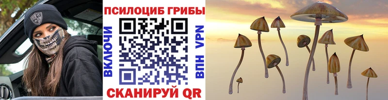Галлюциногенные грибы Magic Shrooms Хвалынск